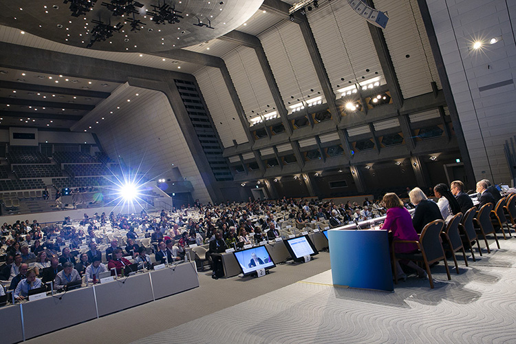 image Changement Climatique /  49ème session du Groupe d’Experts Intergouvernemental sur l'Evolution du Climat (GIEC-49)